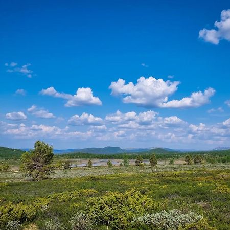 Skurdalsvegen 37L Villa Гейло Екстериор снимка